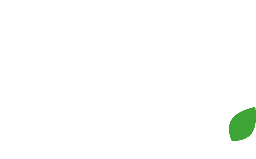 Helsingin seudun kesäyliopisto